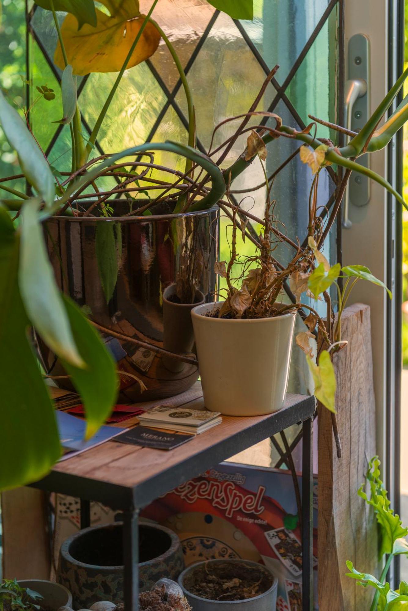 Cozy House - Leenfietsen, Eigen Keuken En Badkamer 네이메헨 외부 사진